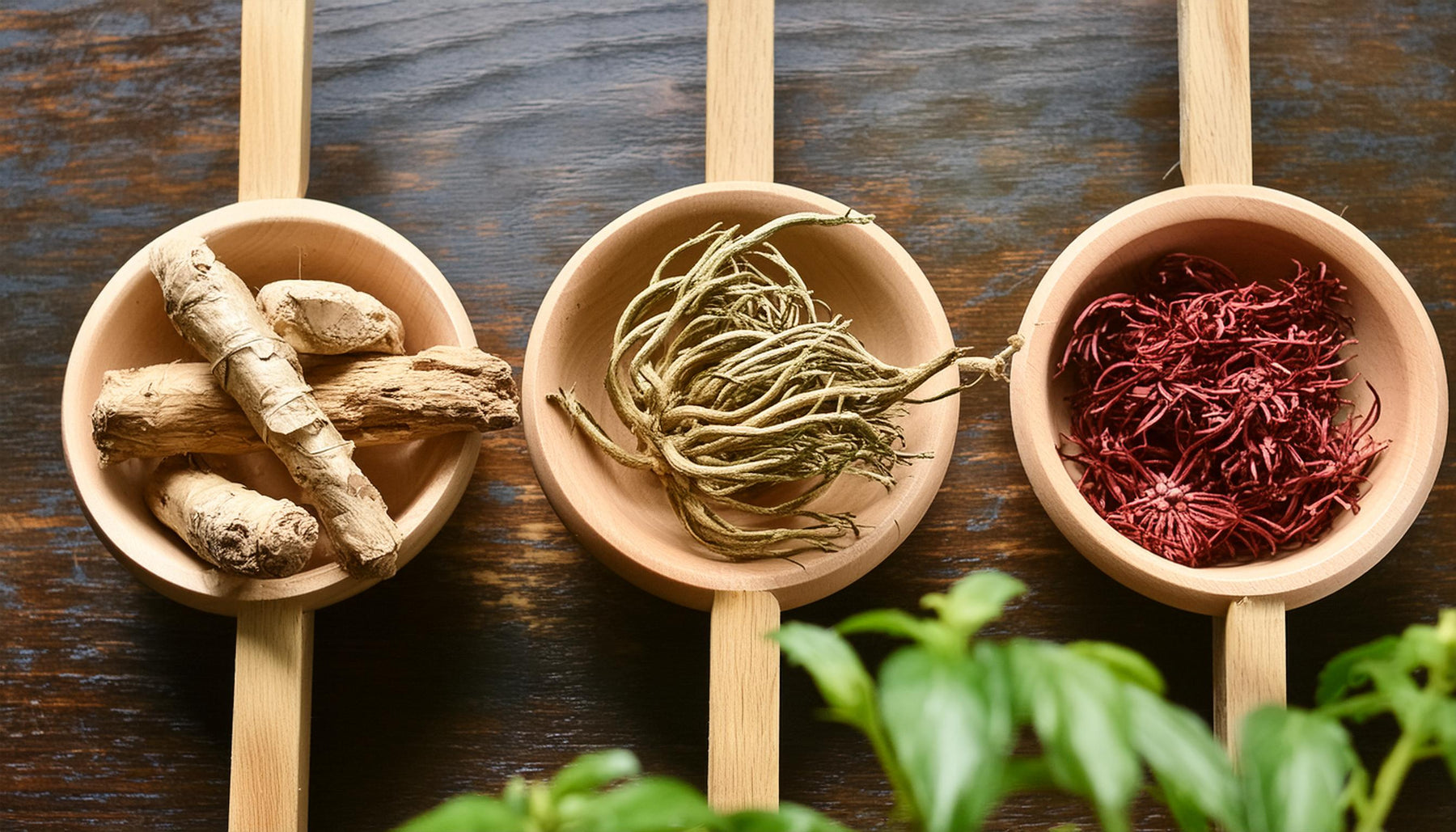 Oppdag Kraften i Adaptogene Urter: Ashwagandha, Ginseng og Rhodiola